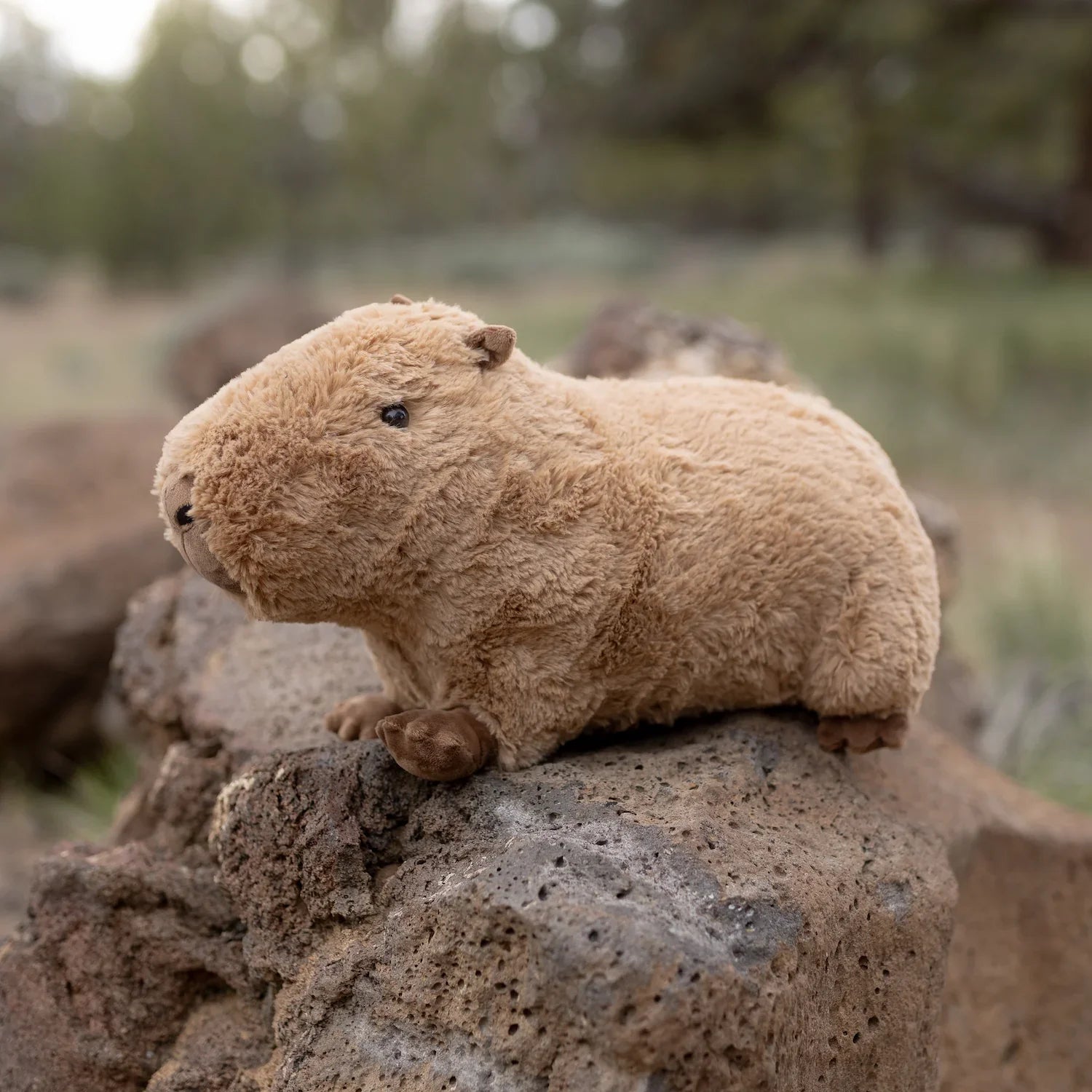 Jumbo Capybara Toyarat