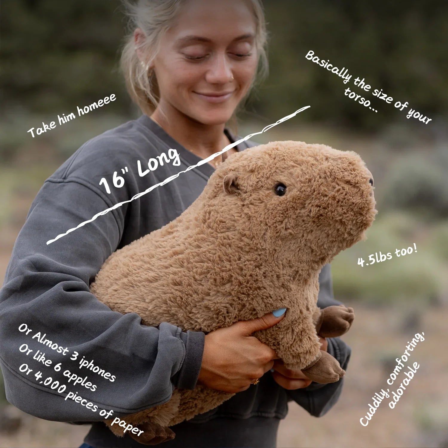 Jumbo Capybara Toyarat